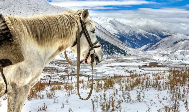 描写雪景的句子的集合4篇