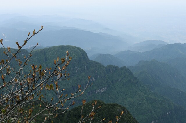 自己旅游的简短句子 我会在星空中，一直注